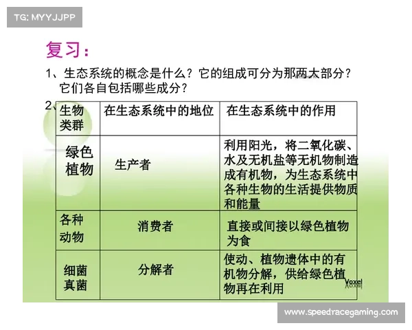 算法推荐机制影响内容多样性，网球传播生态受关注